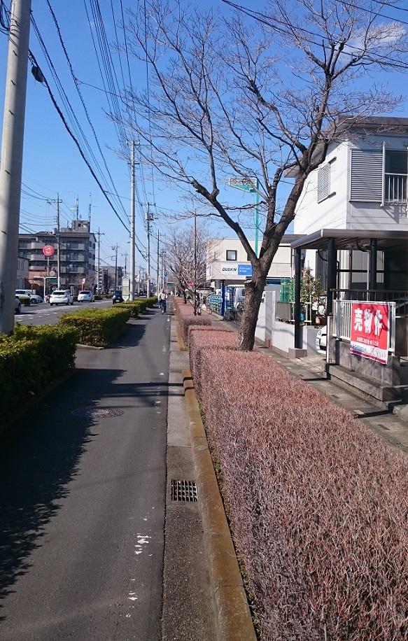 川口戸塚鋏町 売地｜埼玉相互住宅