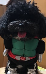 澤田(拓)